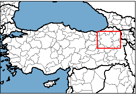 Erzurum Türkiye'nin neresinde. Samsun konum haritası
