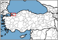Kocaeli Türkiye'nin neresinde. Bingöl konum haritası
