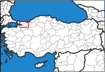 Sakarya Türkiye'nin neresinde. Yalova konum haritası