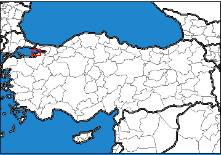 Yalova Türkiye'nin neresinde. Tokat konum haritası